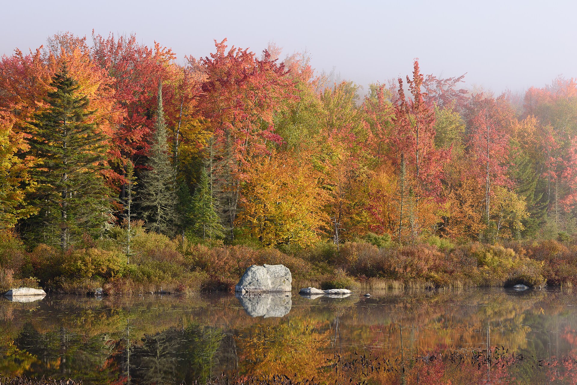File photograph of red, orange and yellow trees reflected in Marshfield Pond at Groton State Forest, Vermont